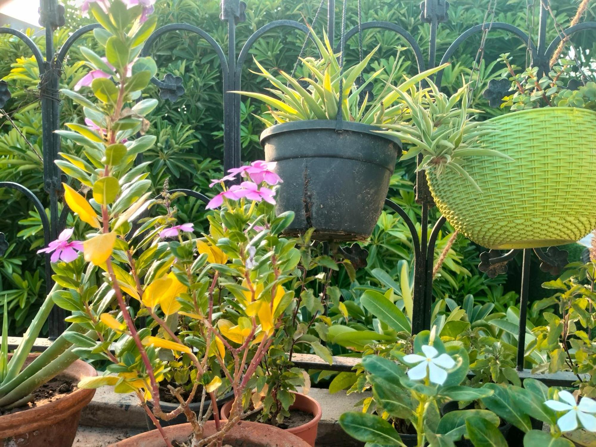 Kishan Home Stay Mathura Extérieur photo