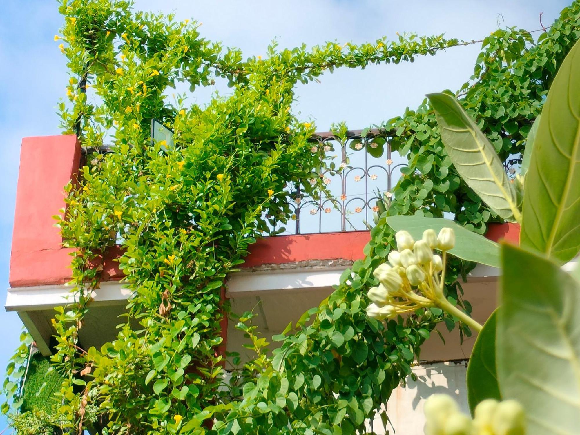 Kishan Home Stay Mathura Extérieur photo